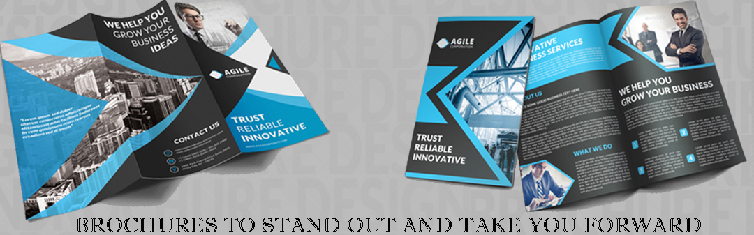 Offset Printer in Naraina